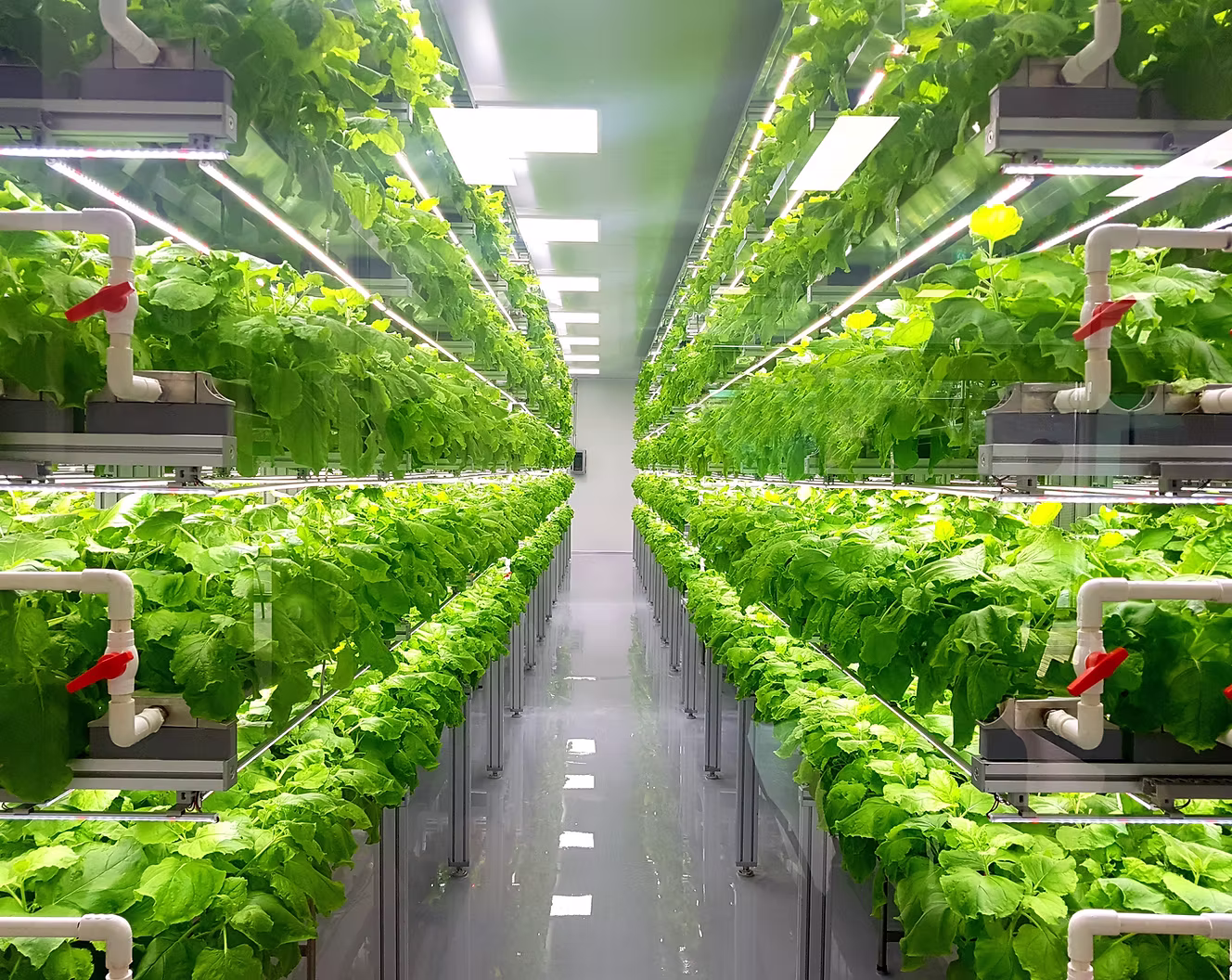 Sustainable Agriculture